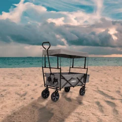 Bollerwagen mit Dach ECO