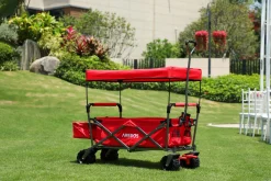 Bollerwagen mit Dach Standard