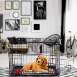 Hundekäfig klappbar 36" L