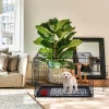 Hundekäfig klappbar 24" S