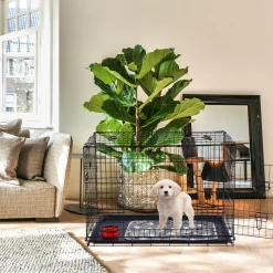Hundekäfig klappbar 24" S