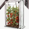 Tomatengewächshaus 100 x 50 x 150 cm