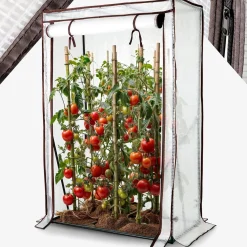 Tomatengewächshaus 100 x 50 x 150 cm